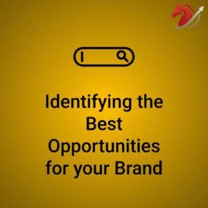 Identifying the Best Opportunities for your Brand - image
