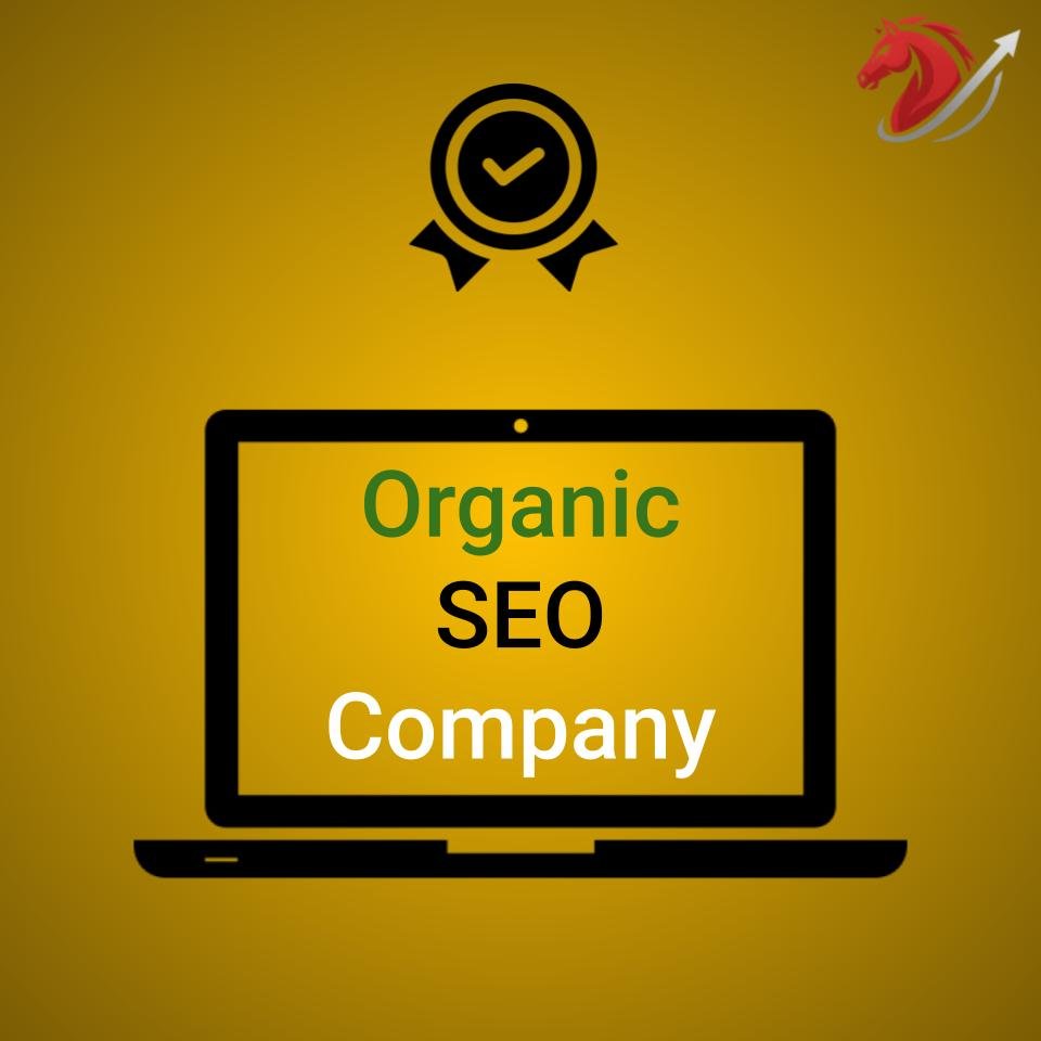 Organic Search Engine Optimization Company Ensures these 11 Strategies for Revenue Growth