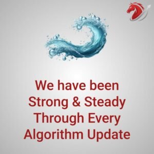 We have been Strong & Steady Through Every Algorithm Update - image